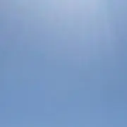 ぱぴこの画像