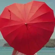 MYの画像