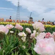 ちーの画像