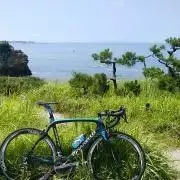 rfの画像