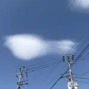 Mintの画像