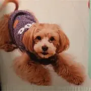 きよじいの画像