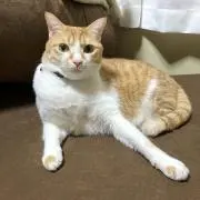 トレバーローレンス