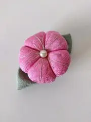 桃の花と葉の画像