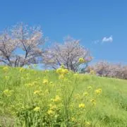 ちぃ★プロフ必ずお読みください★