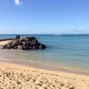muccinの画像