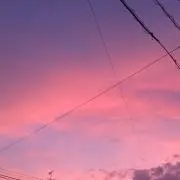 いねの画像