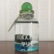 まりもの画像