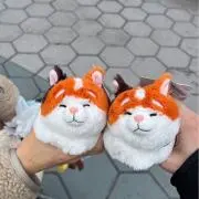 モチの画像