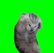 もどりっち