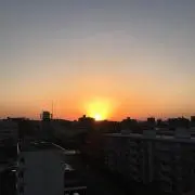 キリの画像