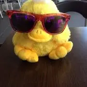 しのぶ　プロフィール参照してください。の画像