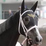 ☆馬ちゃん☆