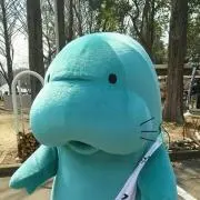 がーすけ