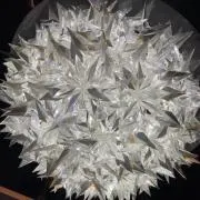 KOKOの画像