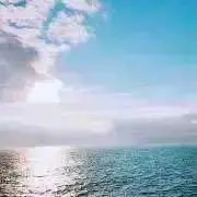 nhの画像