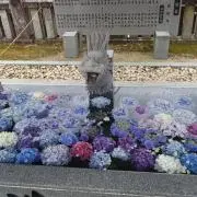 Aの画像