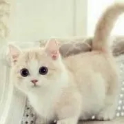 りいあの画像
