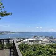 すーちゃん＊購入前にプロフ参照＊の画像