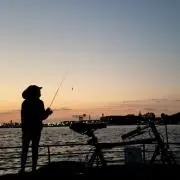 シャンプー