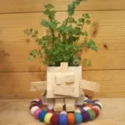 ねこの画像