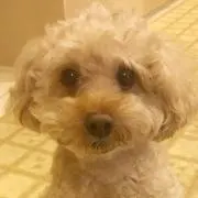 なつ