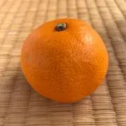 gotnの画像
