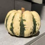 パンプキン♡お値下げ希望OKの画像