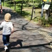 MEの画像