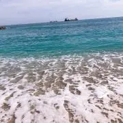 363の画像