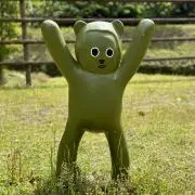 ゆきの画像