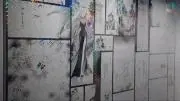ひめきさの画像