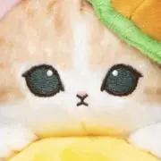 kの画像