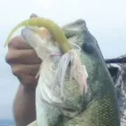 aaaaa