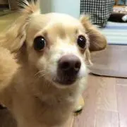 cocowasa♡※まとめ買い歓迎※の画像