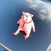ぴーやんの画像