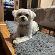 のんべ～の画像
