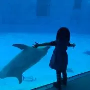 くまこ