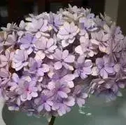 即ご購入 大歓迎★takiiiyの画像