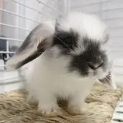 namiの画像