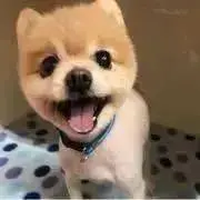 みいみの画像
