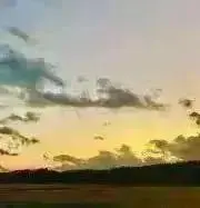 橙の画像