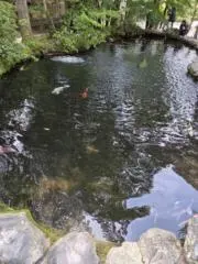 みやの画像