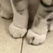 ユイの画像