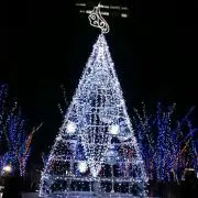 よしのの画像