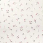 Ririの画像