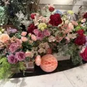 ダッフィーの画像