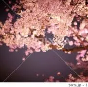 りん@6/4〜6/7受け取り評価できませの画像