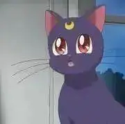 キャンディの画像