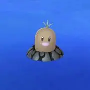ふの画像